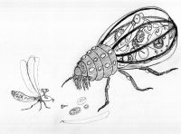 51st century clockwork insects